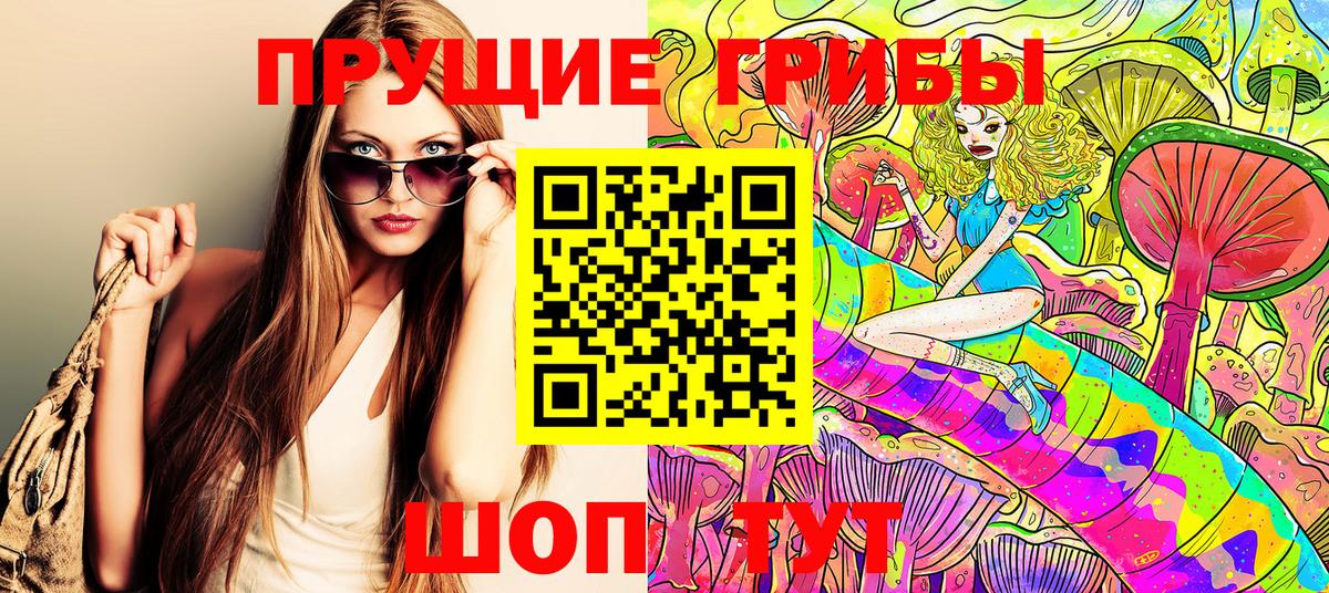 даркнет сайт  Псилоцибиновые грибы MAGIC MUSHROOMS  Вход с VPN  Михайловск 